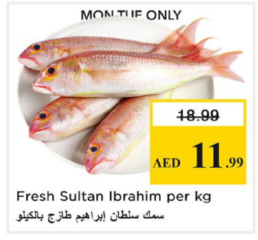 available at نستو هايبرماركت in الإمارات العربية المتحدة , الامارات - رَأْس ٱلْخَيْمَة
