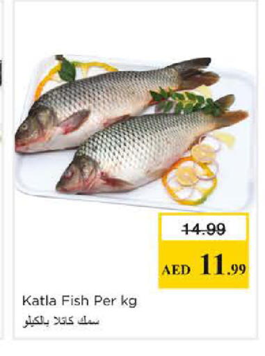 available at نستو هايبرماركت in الإمارات العربية المتحدة , الامارات - الشارقة / عجمان