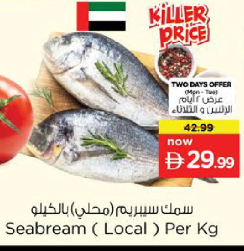 available at نستو هايبرماركت in الإمارات العربية المتحدة , الامارات - رَأْس ٱلْخَيْمَة