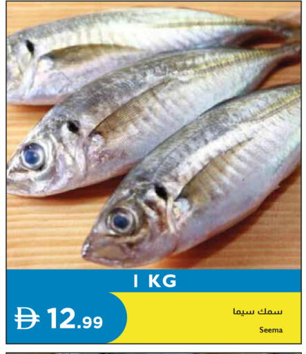 available at إسطنبول سوبرماركت in الإمارات العربية المتحدة , الامارات - رَأْس ٱلْخَيْمَة