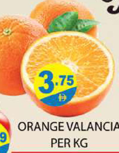 Orange from Valancia available at Zain Mart Supermarket in UAE - Ras al Khaimah