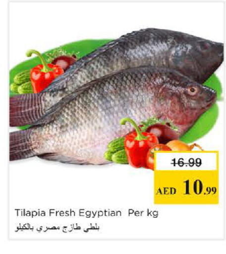 available at نستو هايبرماركت in الإمارات العربية المتحدة , الامارات - الشارقة / عجمان