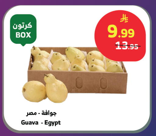 Guava from Egypt available at الراية in مملكة العربية السعودية, السعودية, سعودية - تبوك