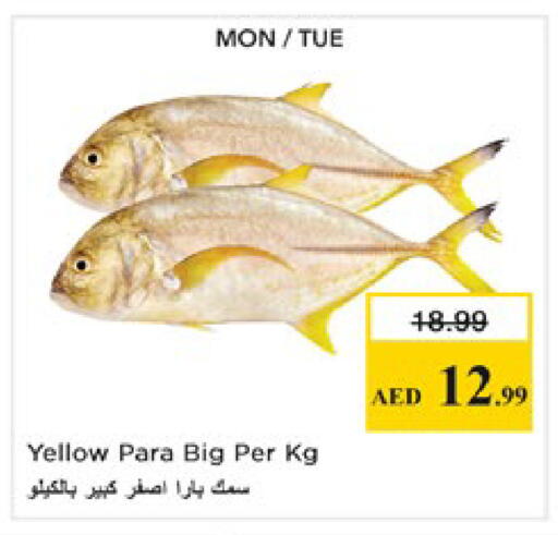 available at Nesto Hypermarket in UAE - Al Ain