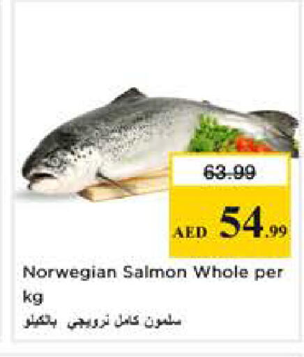 available at نستو هايبرماركت in الإمارات العربية المتحدة , الامارات - الشارقة / عجمان