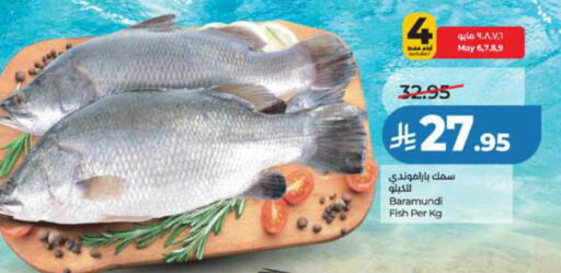 available at لولو هايبرماركت in مملكة العربية السعودية, السعودية, سعودية - تبوك