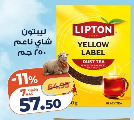 available at كازيون in Egypt - القاهرة