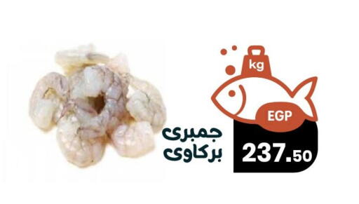 available at Arafa Market in Egypt - Cairo