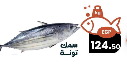 available at Arafa Market in Egypt - Cairo
