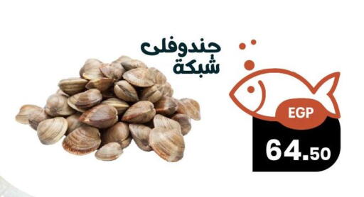 available at Arafa Market in Egypt - Cairo