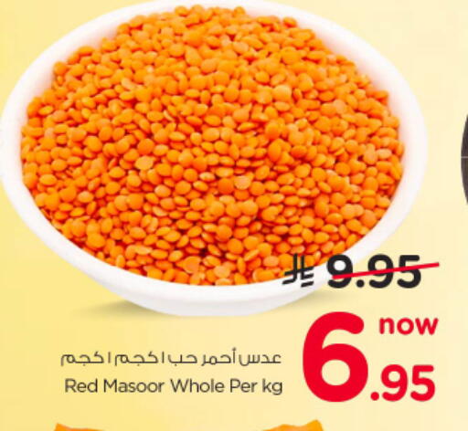 available at نستو in مملكة العربية السعودية, السعودية, سعودية - الرياض