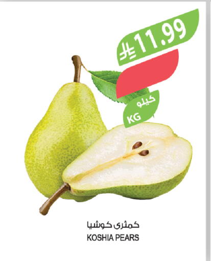 available at Farm  in KSA, Saudi Arabia, Saudi - Tabuk