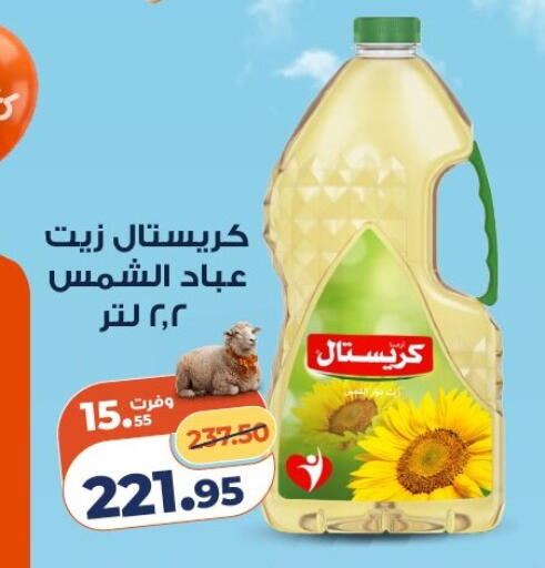 available at كازيون in Egypt - القاهرة