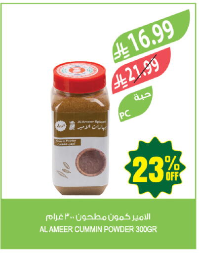 Cumin available at Farm  in KSA, Saudi Arabia, Saudi - Tabuk