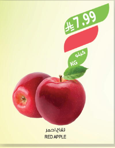 Apple available at Farm  in KSA, Saudi Arabia, Saudi - Tabuk