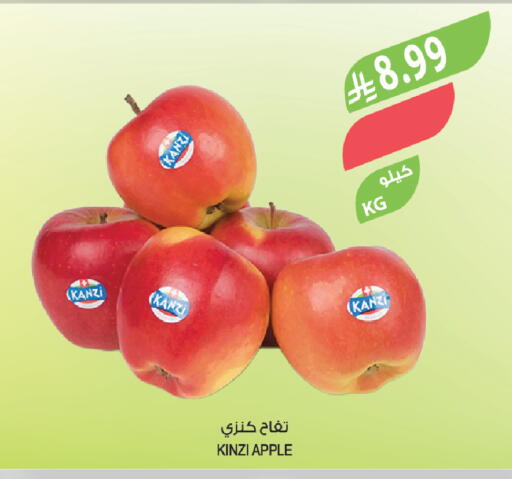Apple available at Farm  in KSA, Saudi Arabia, Saudi - Tabuk