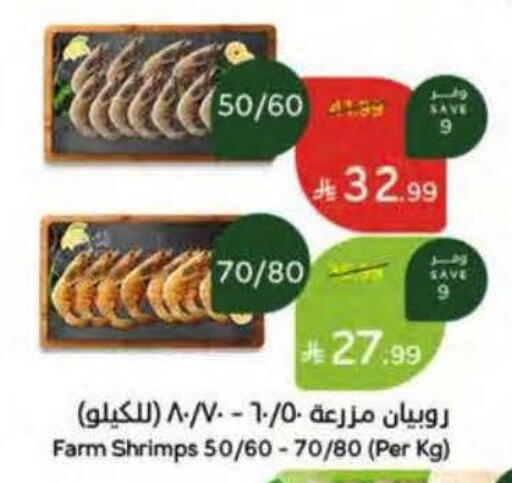 available at هايبر بنده in مملكة العربية السعودية, السعودية, سعودية - الجبيل‎