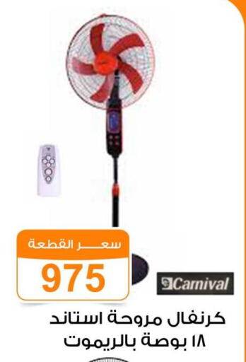 available at Gomla Market in Egypt - Cairo
