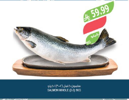 available at المزرعة in مملكة العربية السعودية, السعودية, سعودية - جدة