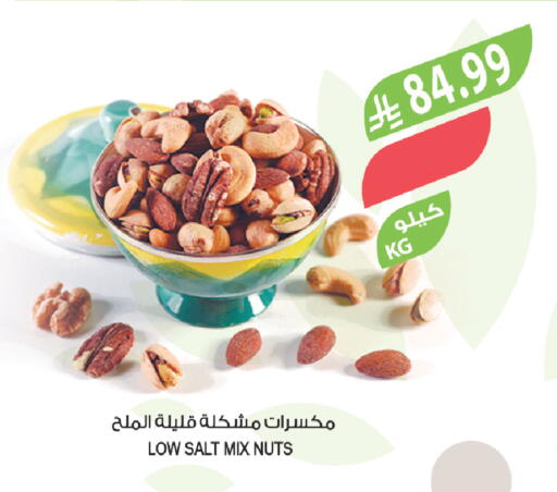 available at Farm  in KSA, Saudi Arabia, Saudi - Tabuk