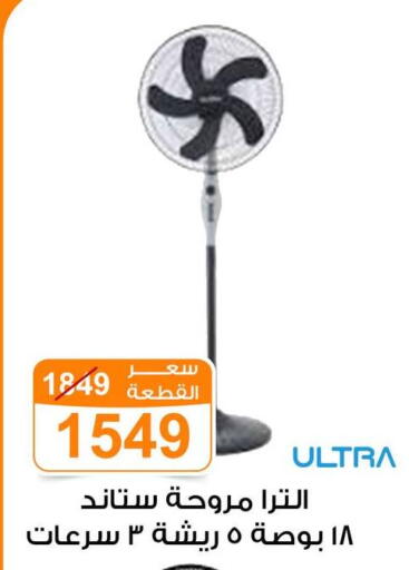 available at Gomla Market in Egypt - Cairo