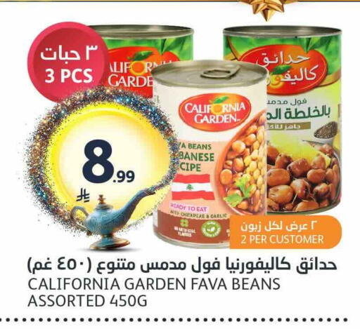 Garlic available at AlJazera Shopping Center in KSA, Saudi Arabia, Saudi - Riyadh