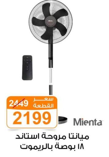 available at Gomla Market in Egypt - Cairo