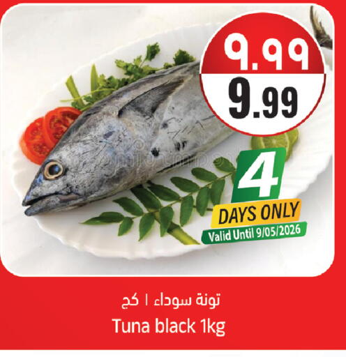 available at ستي فلاور in مملكة العربية السعودية, السعودية, سعودية - سكاكا