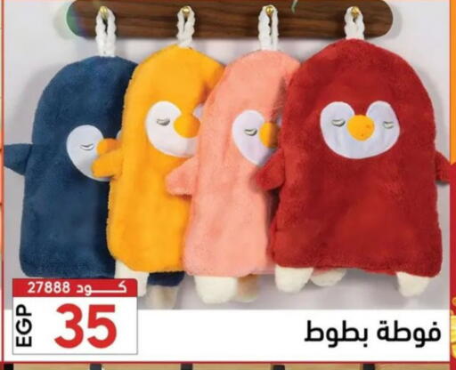 available at Center Elzelzal in Egypt - Cairo
