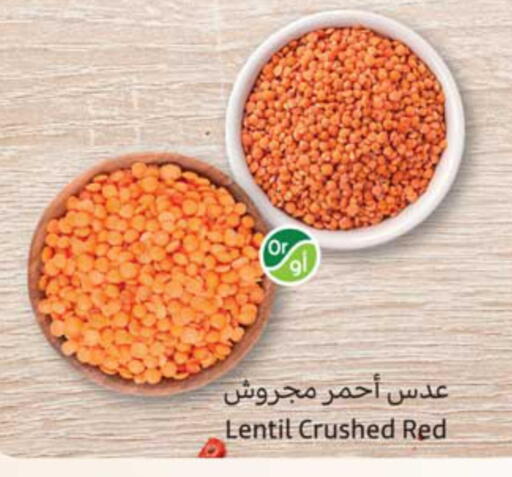 available at أسواق عبد الله العثيم in مملكة العربية السعودية, السعودية, سعودية - المدينة المنورة