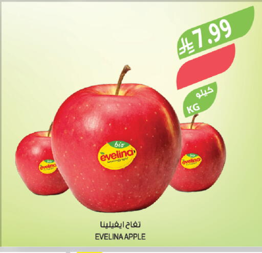 Apple available at Farm  in KSA, Saudi Arabia, Saudi - Tabuk