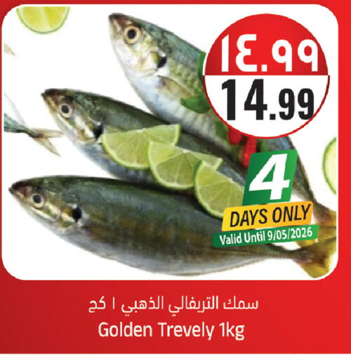 available at ستي فلاور in مملكة العربية السعودية, السعودية, سعودية - سكاكا