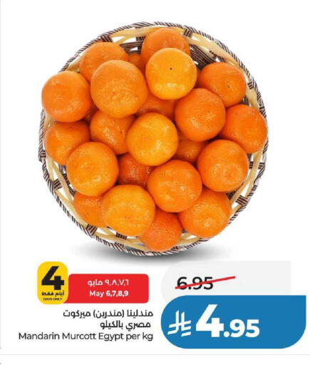 Mandarin from Egypt available at لولو هايبرماركت in مملكة العربية السعودية, السعودية, سعودية - عنيزة