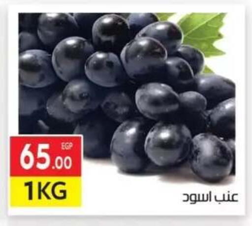 available at المحلاوي ماركت in Egypt - القاهرة