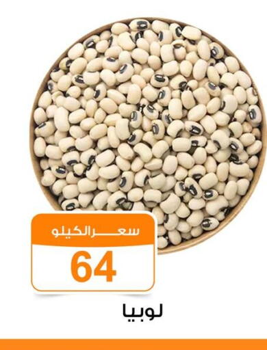available at Gomla Market in Egypt - Cairo