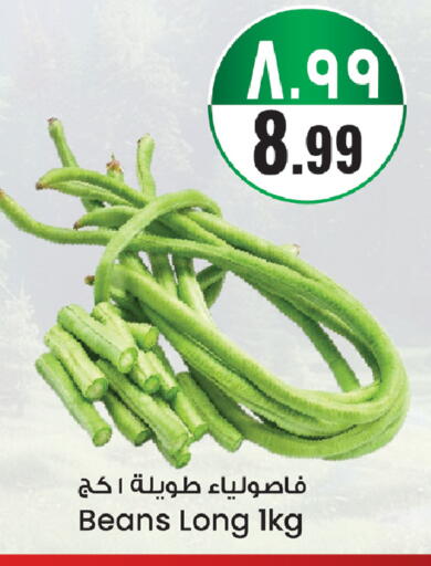 available at City Flower in KSA, Saudi Arabia, Saudi - Sakaka