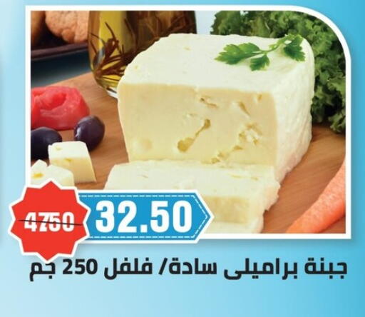 in Egypt - القاهرة