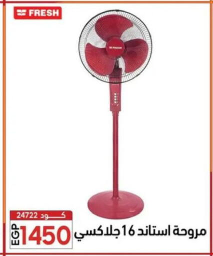 available at Center Elzelzal in Egypt - Cairo