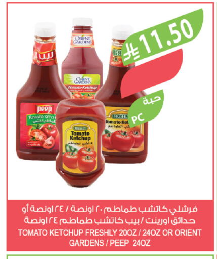 Tomato available at Farm  in KSA, Saudi Arabia, Saudi - Al-Kharj