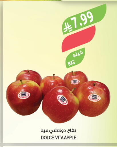 Apple available at Farm  in KSA, Saudi Arabia, Saudi - Tabuk