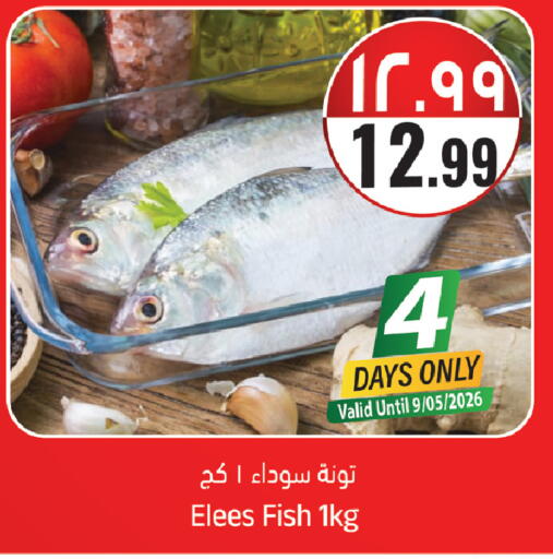available at ستي فلاور in مملكة العربية السعودية, السعودية, سعودية - الجبيل‎