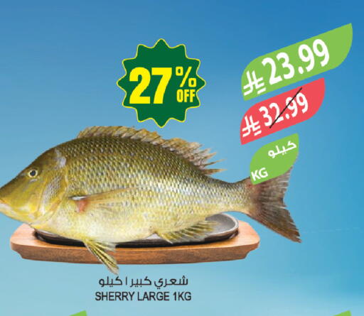 available at Farm  in KSA, Saudi Arabia, Saudi - Tabuk