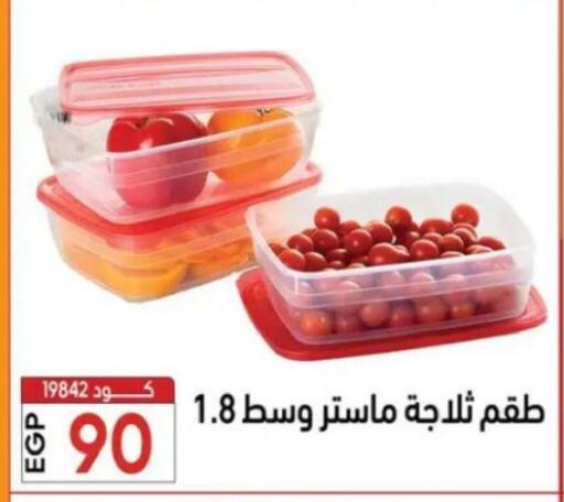 available at Center Elzelzal in Egypt - Cairo