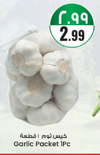 Garlic available at City Flower in KSA, Saudi Arabia, Saudi - Riyadh