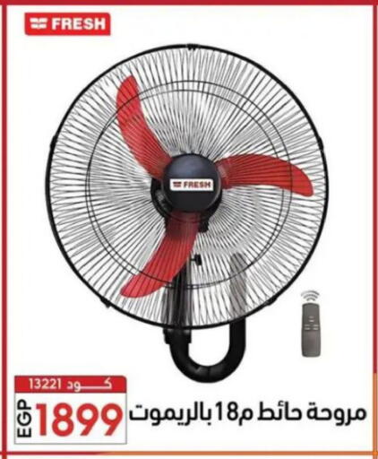 available at Center Elzelzal in Egypt - Cairo