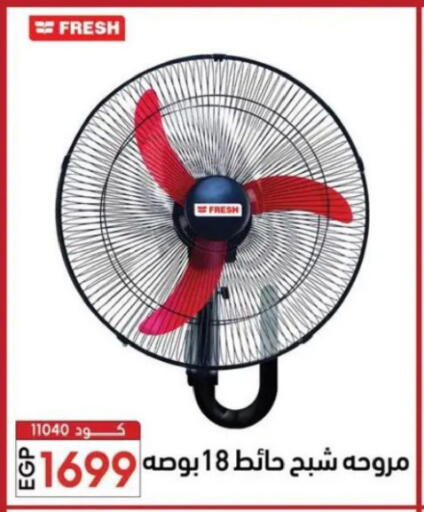 available at Center Elzelzal in Egypt - Cairo