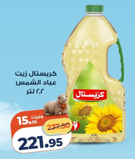 available at كازيون in Egypt - القاهرة
