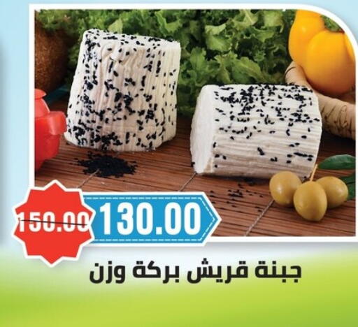 in Egypt - القاهرة