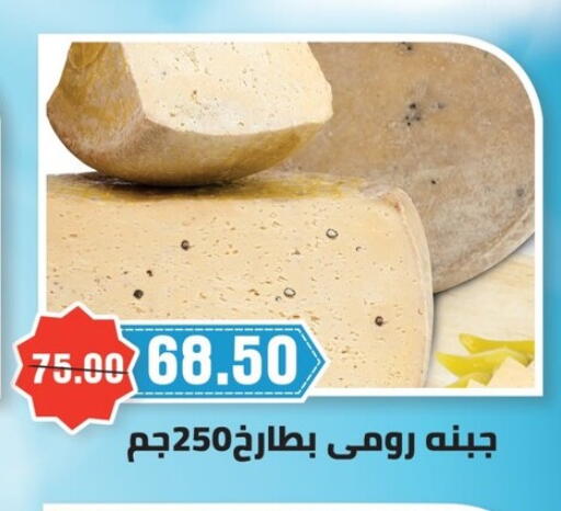 in Egypt - القاهرة