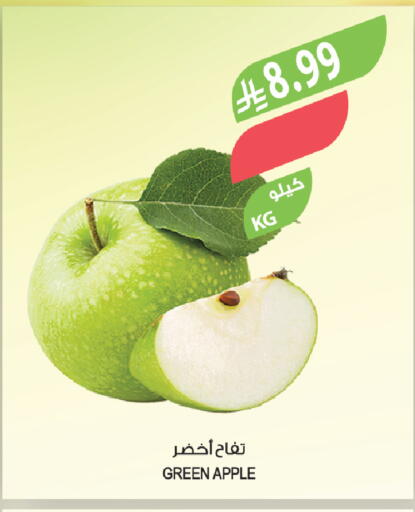 Apple available at Farm  in KSA, Saudi Arabia, Saudi - Tabuk